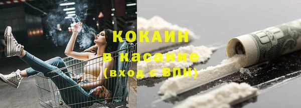 молекула духа Бородино