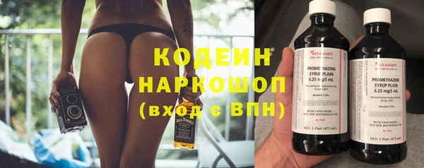 молекула духа Бородино
