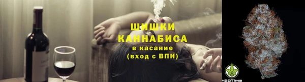 молекула духа Бородино