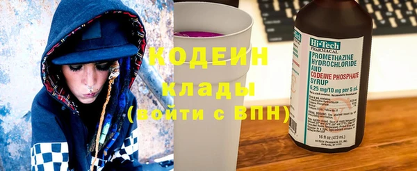 молекула духа Бородино