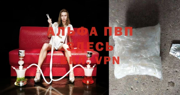 молекула духа Бородино