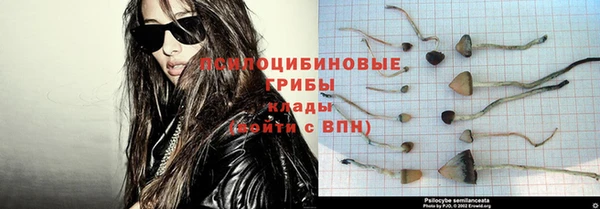 молекула духа Бородино