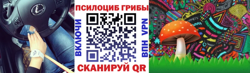 цены наркотик  Южноуральск  Псилоцибиновые грибы прущие грибы 